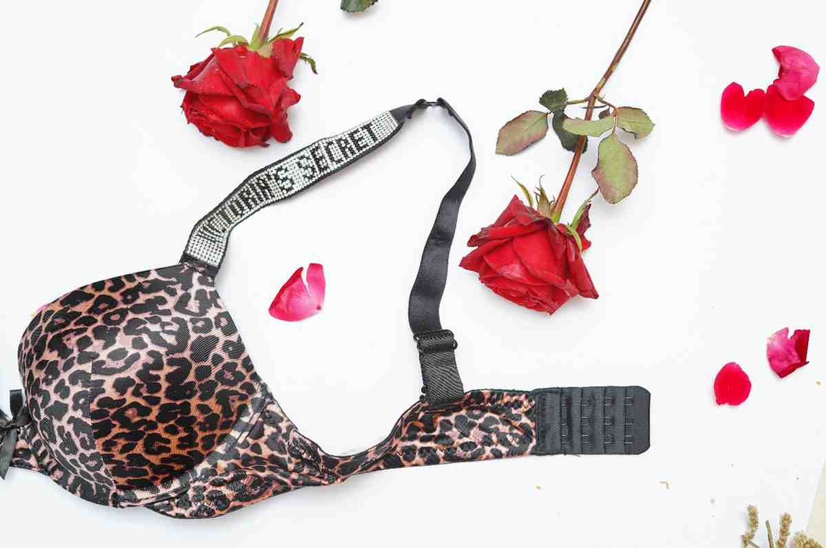 Victoria Secret's Pushup Hearts Bra Set
