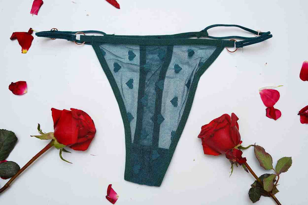 Lace Thin String High Cut Transparent Sexy Net Panty