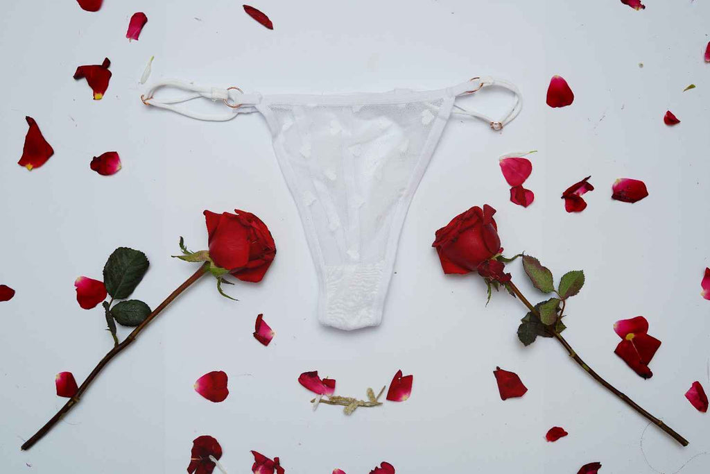 Lace Thin String High Cut Transparent Sexy Net Panty