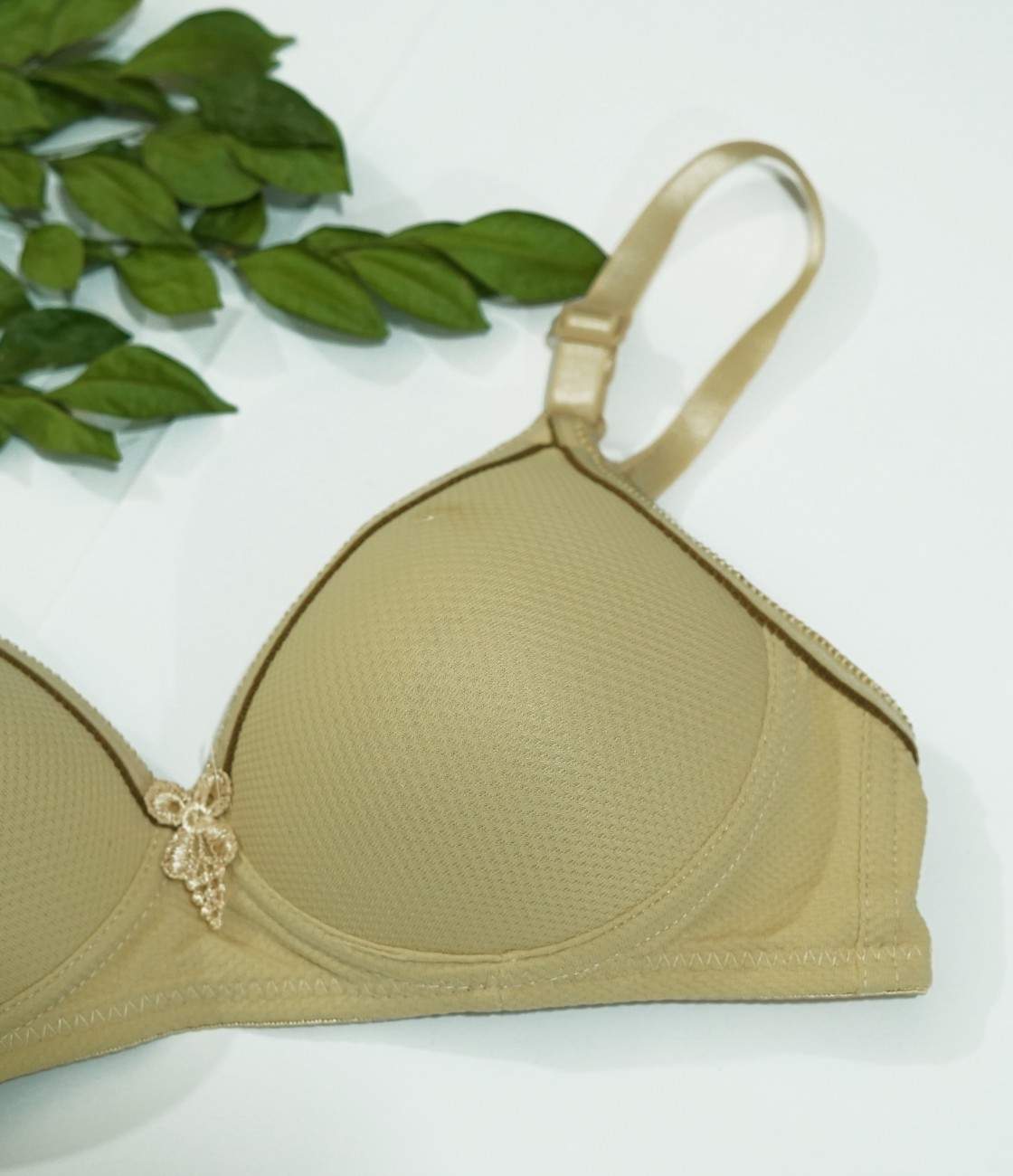 Daily Wear Light Padded Bra