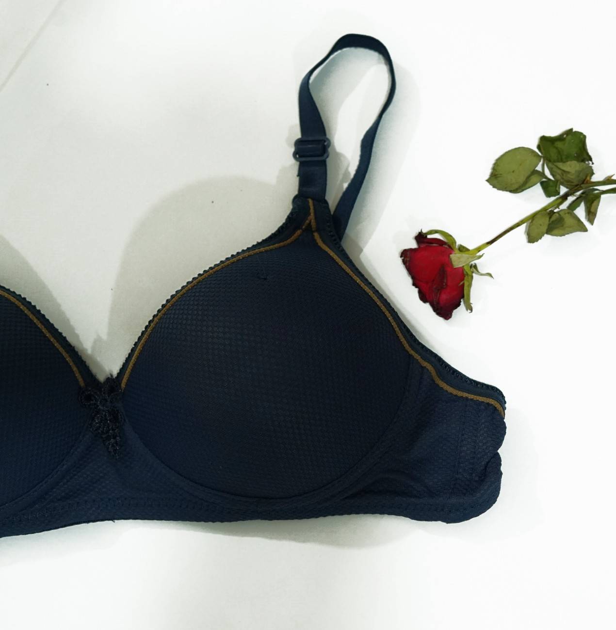 Daily Wear Light Padded Bra