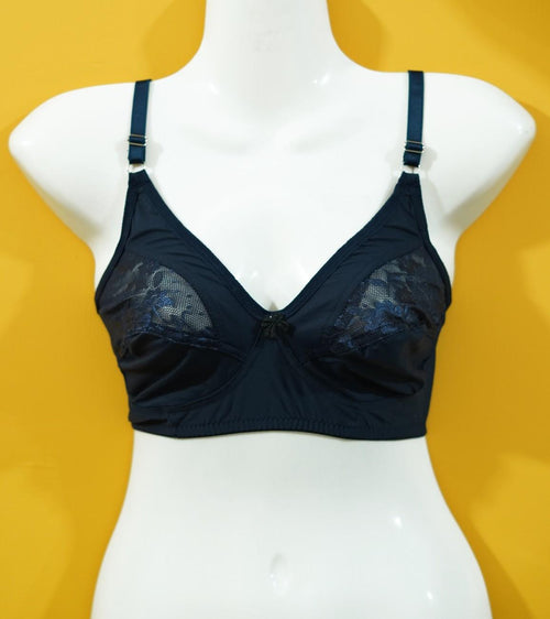 Daily Wear Silk Malai Bra
